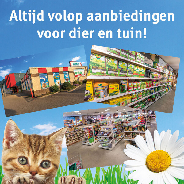 image Aanbieding 1